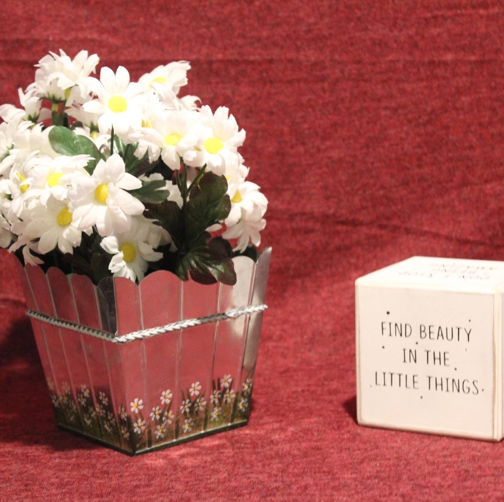 Homemade daisy flower pot.